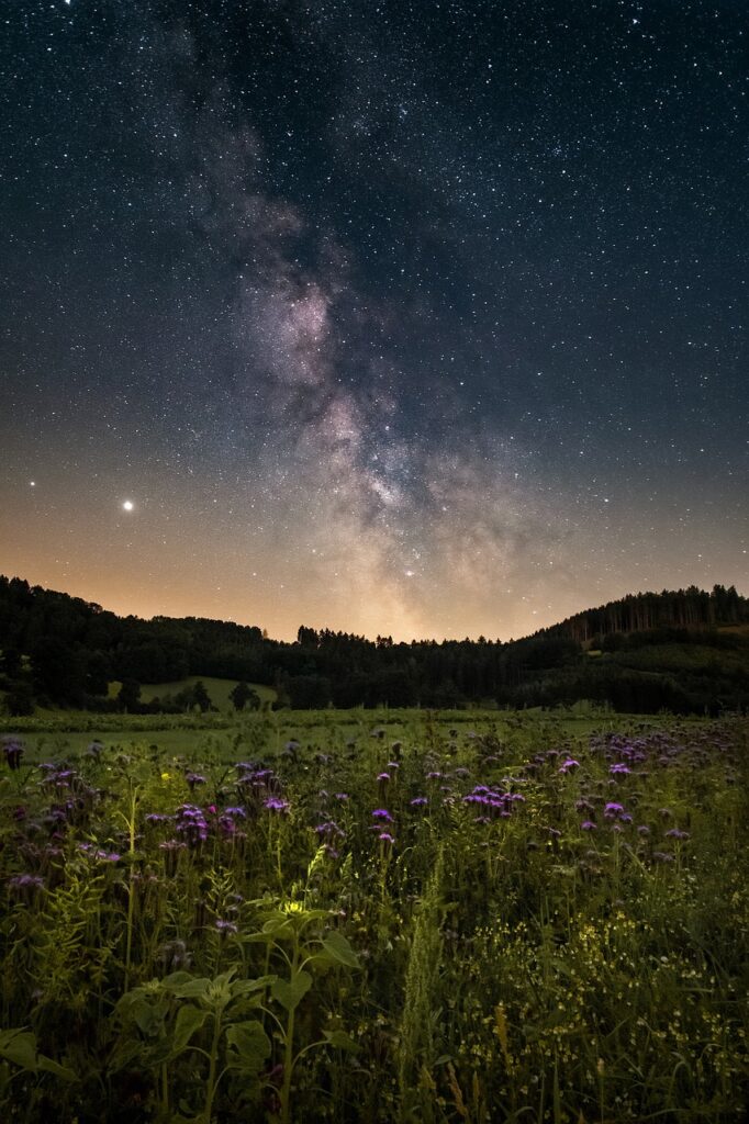 starry sky, flower meadow, night, milky way, flower wallpaper, nature, landscape, universe, flowers, beautiful flowers, meadow, galaxy, astronomy, space, earth, flower background, long exposure